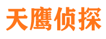 莱城天鹰私家侦探公司